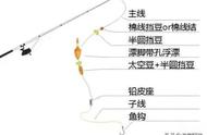 从零开始：矶钓和路亚海钓的基本知识与实践