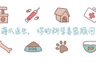 獢獢：真正的“中华名犬”，名字读音让人惊讶！