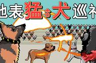 终极对决：十种世界级猛犬大比拼