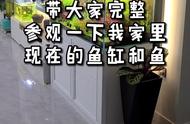 ‘缸人多友鱼’：新发现的生态奇迹