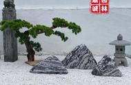 探索化州雪浪石原石的庭院草坪造景艺术