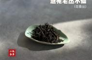 李麻花对新购武夷岩茶水仙香气的深度解析