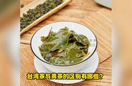 揭秘台湾茶与黄茶的微妙差异：茶知识解析