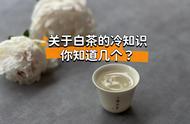 揭秘白茶：是寒凉还是温和？8个冷知识告诉你答案