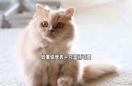 你知道哪些猫咪适合家庭环境吗？#猫猫冷知识