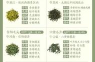 带图片的48种名优绿茶品种，茶友们快来对比吧！