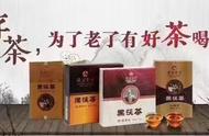 揭秘中国黑茶之茯砖茶收藏的五大秘诀，你掌握了吗？