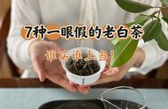 年末盘点：这7种老白茶，一眼就能看出真假，别上当了！