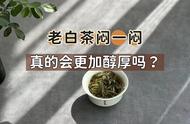 茶掌柜揭秘：老白茶的闷泡技巧，年份真的影响口感吗？