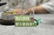 如何正确冲泡白茶饼？头道茶前是否要润茶？