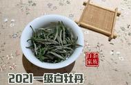 白茶散茶与饼茶的美味之争：新手茶友该如何抉择？