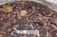 旧老白茶的选择：散茶是否比饼茶更可靠？