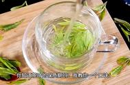 茶叶保质期揭秘：绿茶黄茶一年半