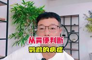 鹦鹉一分钟健康指南：粪便诊断与养殖技巧揭秘