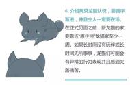 如何让龙猫成为你的好朋友？