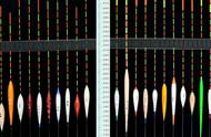 浮漂种类繁多，如何挑选最合适的？野钓时，学会根据鱼情选漂是关键！