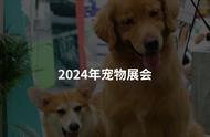 宠物爱好者必看：2024年国内外重要宠物展汇总与展望