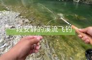 飞钓体验：在溪流中追寻宁静