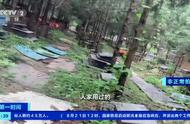 宠物墓地经营者跑路，主人自发行动，宠物殡葬市场待规范