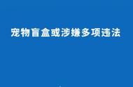 揭秘宠物盲盒：可能涉及的违法行为