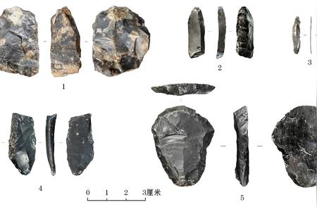 2022年考古新发现：旧石器时代的古化石与文化解读