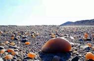 新疆石头收藏季再度来临，16个地点教你如何挑选！