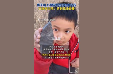 父子在山东临沂朗公寺附近发现疑似化石，专家和媒体热议
