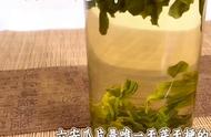 六安瓜片：中国传统名茶的瑰宝