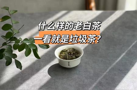 老茶专家揭秘：3种易被误认为优质老白茶的垃圾茶叶